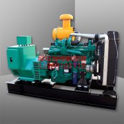 選購(gòu)柴油發(fā)電機(jī)組需要考慮哪些常見(jiàn)的參數(shù)呢？